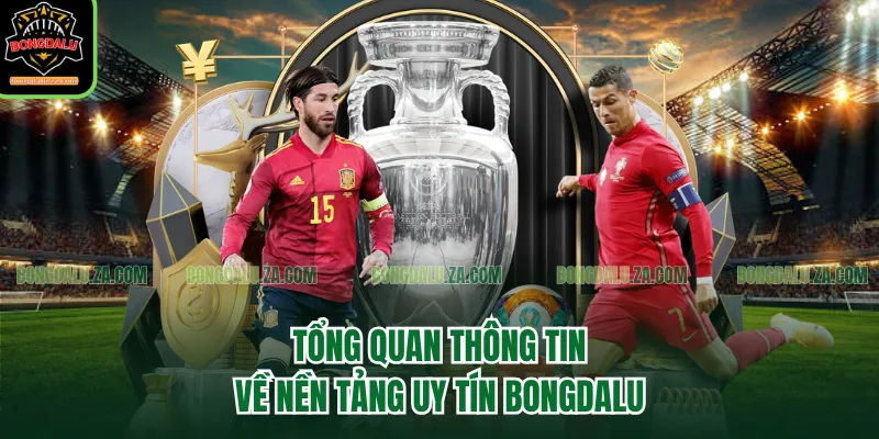 Tổng quan thông tin về nền tảng uy tín Bongdalu